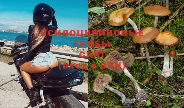 наркотики Беломорск