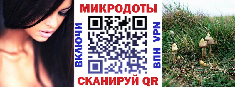 Галлюциногенные грибы MAGIC MUSHROOMS  Купить закладки  Себеж 